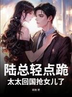 陆总轻宠小甜妻