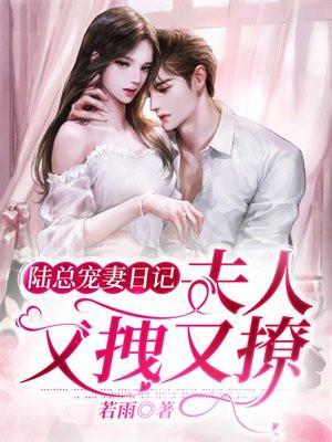 陆总宠妻日记夫人又拽又撩 若雨