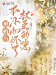 不小心怀了权臣的崽_(温轻)