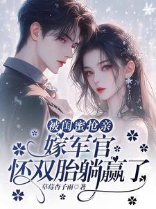 嫁军官怀双胎躺赢了_草莓杏子雨