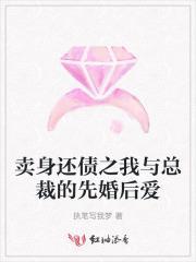 卖身总裁惹不起三十篇