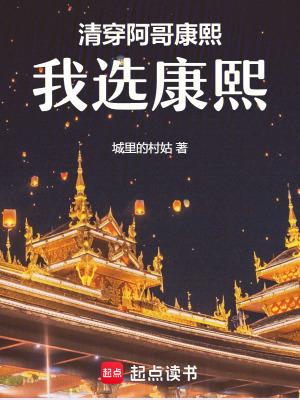 清穿阿哥康熙我选康熙讲什么