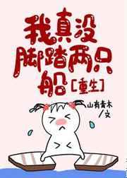 我真没脚踏两只船[重生
