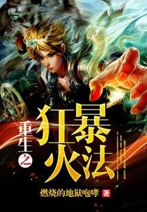 重生之狂暴火法笔趣阁