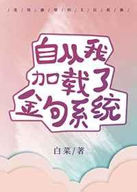 自从我加载金句系统后