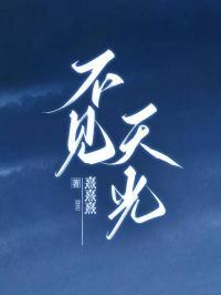 不见天光在线阅读