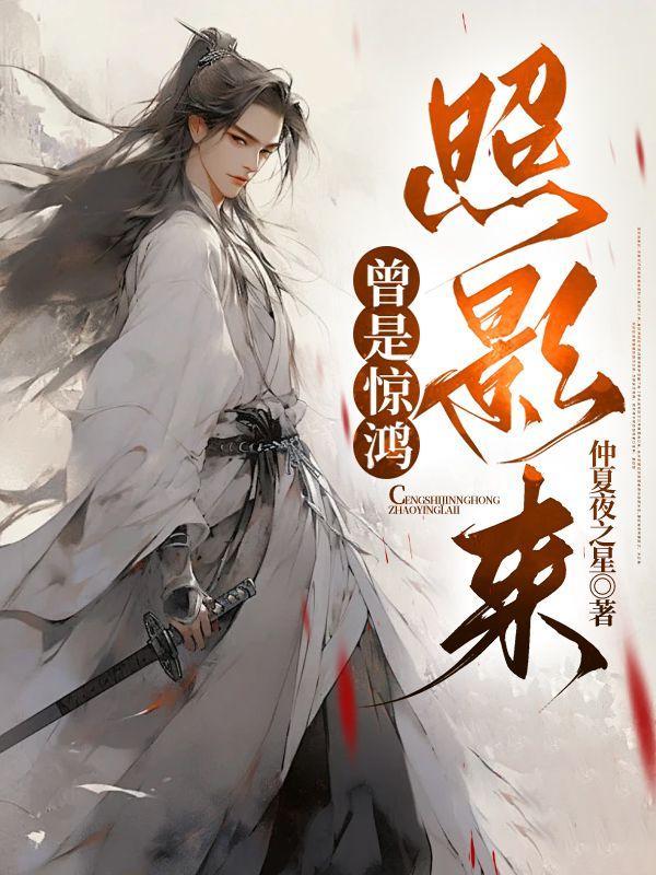 曾是惊鸿照影来上一句