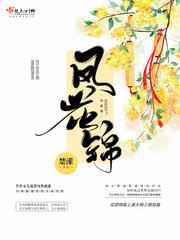 凤花锦讲的什么