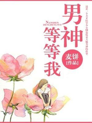 男神等等我完结破解版