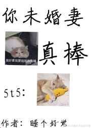 你未婚妻真棒晋江