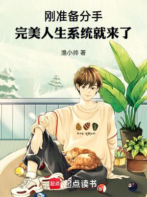 完美人生系统林天