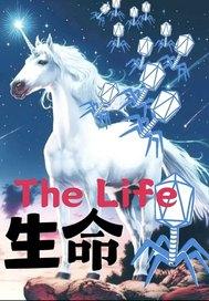 生命啊生命阅读理解正确的两项