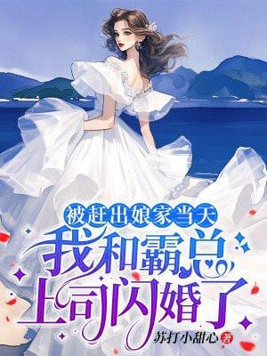 被赶出娘家当天我和霸总上司闪婚了免费阅读