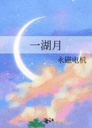 一湖月影风摇碎下句