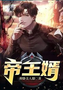 帝王婿叶辰夏倾月免费阅读