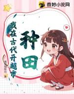 我在古代种田养夫