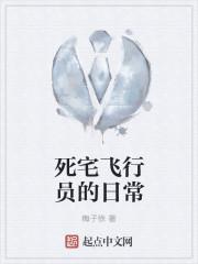 死宅飞行员的日常 笔趣阁