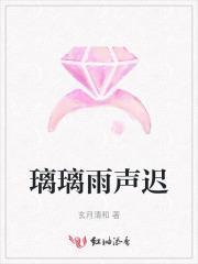 潇潇雨声迟简介