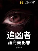 追凶者(网络版)