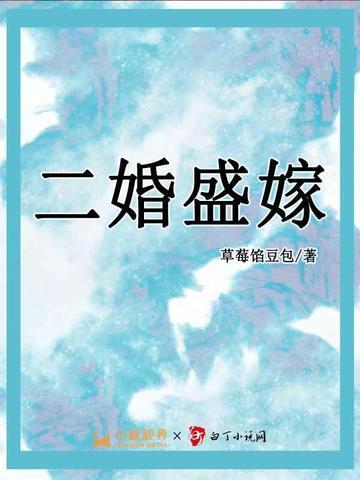 二婚盛嫁舒璃