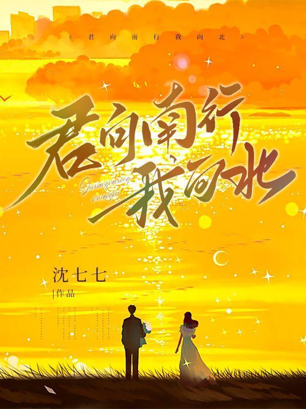 君往北走我向南瞧