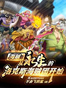 从洛克斯海贼团开始上班打卡