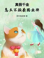 怎么不按套路出牌来