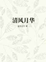 清风月华意思
