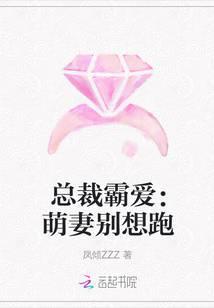 霸道总裁萌妻你别跑