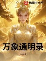 万象录的传说级图画