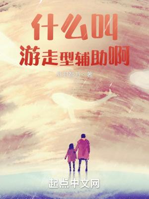 什么叫游走型辅助啊笔趣阁