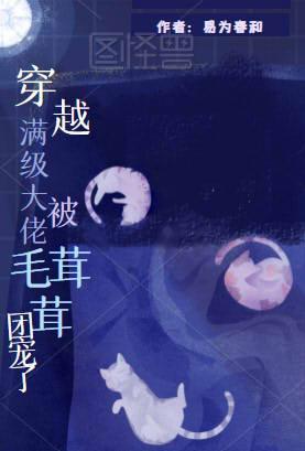 满级大佬被穿后回来了