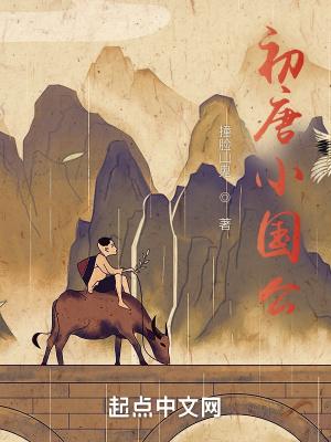 初唐小国公全文阅读