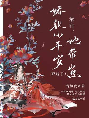 暴君的小娇包三岁半