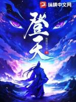 登天的感觉岳晓东 在线阅读