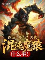 西游取经关我混沌魔猿什么事全文