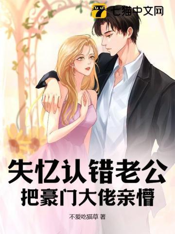 失忆后认错老公免费阅读