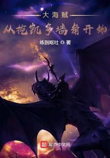 大海贼从挖凯多墙角开始免费阅读