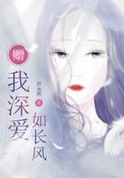赠我深爱如长风笔趣阁