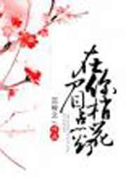 在你眉梢点花灯全文阅读