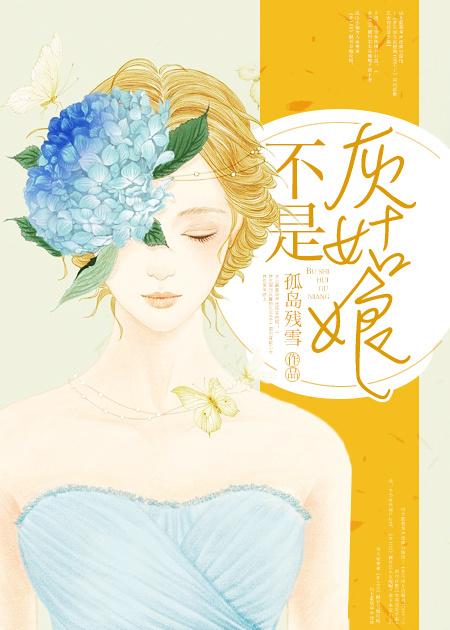 我不是灰姑娘啥意思