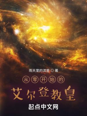 从零开始的艾尔登教皇 雨天里的流星