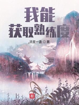 我能熟练度面板