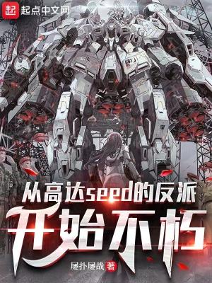 高达seed穿越重生