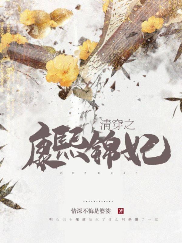 清穿之康熙锦妃 第13章