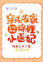 穿越农家空间农女经商忙