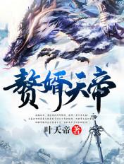 赘婿天帝叶尘之江冰凌