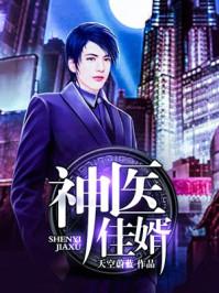 神医佳婿17集精彩片段