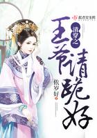 清穿之王爷请跪好 txt