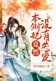 本王娶侧妃王妃可有消气